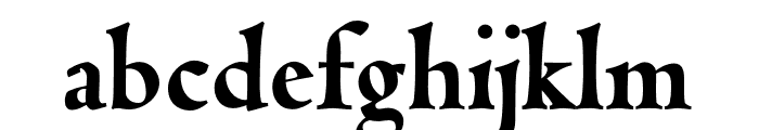 Coelacanth Subheading Heavy Font LOWERCASE