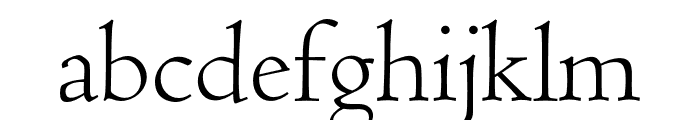 Coelacanth Subheading Light Font LOWERCASE