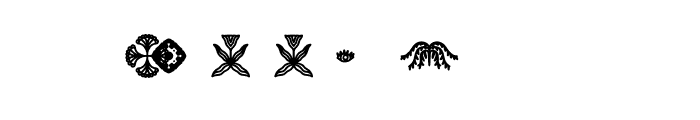 Conjiote Personal Use Font OTHER CHARS