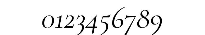 Cormorant Garamond Italic Font OTHER CHARS