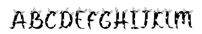 fontPreview