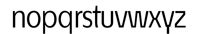 ?conoSans Reduced 55 Book Font LOWERCASE