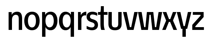 ?conoSans Reduced 65 Medium Font LOWERCASE