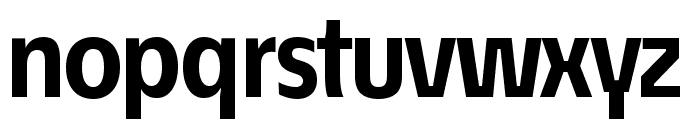 ?conoSans Reduced 75 Bold Font LOWERCASE