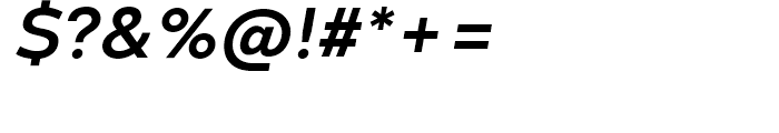 Codec Warm Bold Italic Font OTHER CHARS