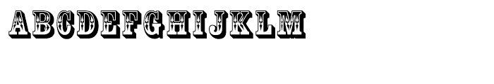 Country Western Regular SC Font LOWERCASE