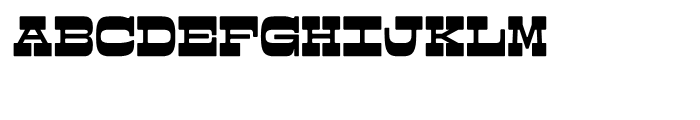 Cowhand Regular Font LOWERCASE