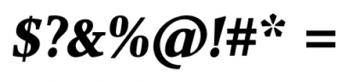 Combi Serif Bold Oblique Font OTHER CHARS
