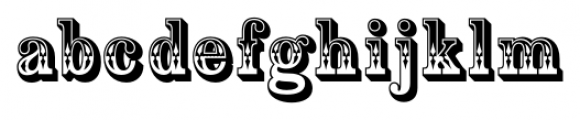 Country Western Regular Font LOWERCASE