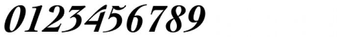 Cochin Pro Bold Italic Font OTHER CHARS