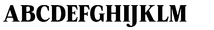 Coldetica Serif Bold Font UPPERCASE