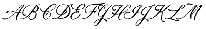 Colesberg Script Font UPPERCASE