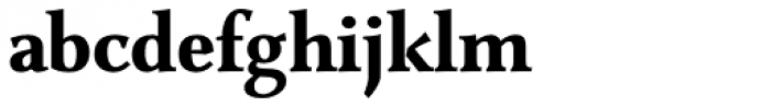 Combi Serif Bold Font LOWERCASE