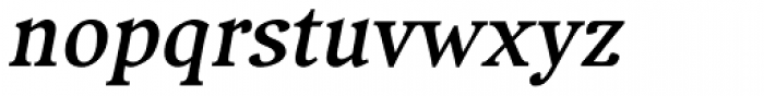 Compatil Exquisit Pro Bold Italic Font LOWERCASE