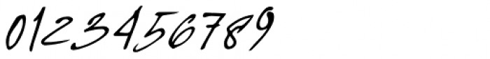 Concetta Kalvani Signature Oblique Font OTHER CHARS