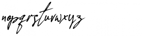 Concetta Kalvani Signature Oblique Font LOWERCASE