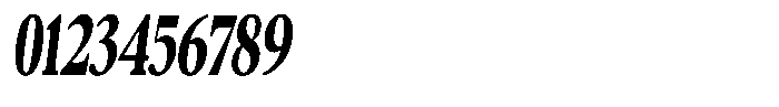 Confirm Serif Black Condensed Italic Font OTHER CHARS