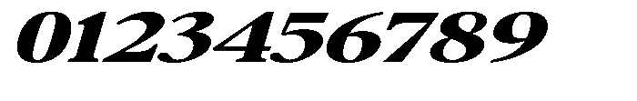 Confirm Serif Black Expanded Italic Font OTHER CHARS