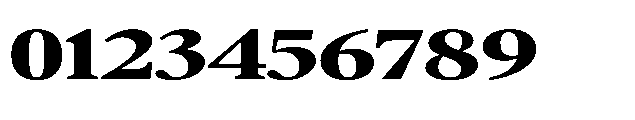 Confirm Serif Black Expanded Font OTHER CHARS