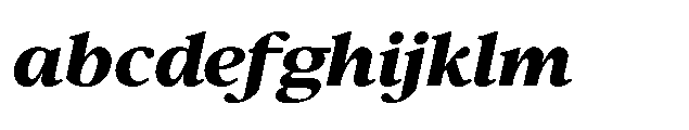 Confirm Serif Black Italic FONT