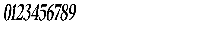 Confirm Serif Bold Condensed Italic Font OTHER CHARS