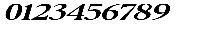 Confirm Serif Bold Expanded Italic Font OTHER CHARS