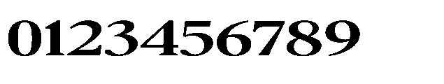 Confirm Serif Bold Expanded Font OTHER CHARS
