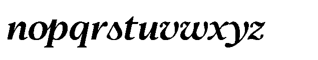 Confirm Serif Bold Italic Font LOWERCASE