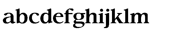 Confirm Serif Bold FONT