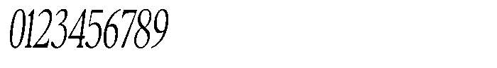 Confirm Serif Condensed Italic Font OTHER CHARS