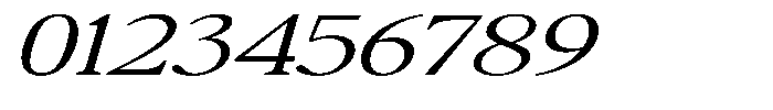 Confirm Serif Expanded Italic Font OTHER CHARS