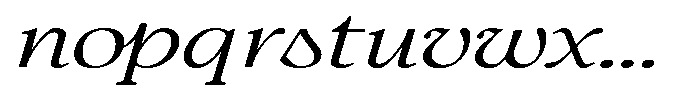 Confirm Serif Expanded Italic Font LOWERCASE