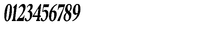 Confirm Serif Extra Bold Condensed Italic Font OTHER CHARS