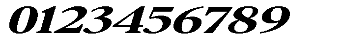 Confirm Serif Extra Bold Expanded Italic Font OTHER CHARS