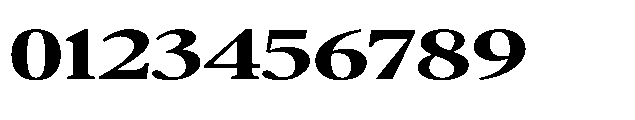 Confirm Serif Extra Bold Expanded Font OTHER CHARS
