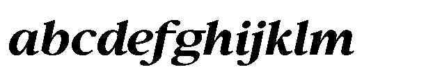 Confirm Serif Extra Bold Italic FONT