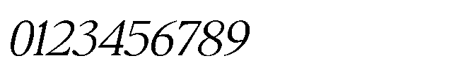 Confirm Serif Italic Font OTHER CHARS