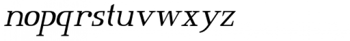 Consonant Oblique SRF Font LOWERCASE