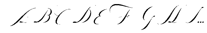 Constane Garden Italic Italic Font UPPERCASE