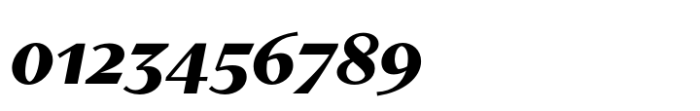 Contralto Xsmall Bold Italic Font OTHER CHARS