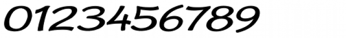 Cordin Expanded Oblique Font OTHER CHARS