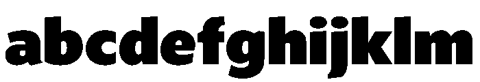Concourse8Regular FONT