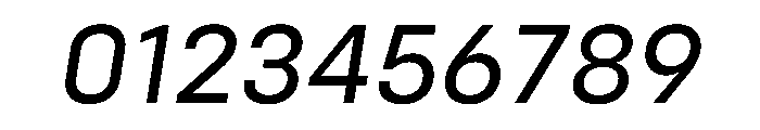 Config RegularItalic Font OTHER CHARS