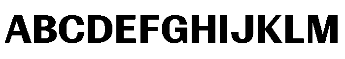 Control Upright Bold Font UPPERCASE
