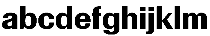 Control Upright Bold FONT