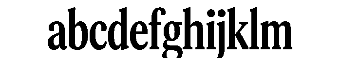 CopernicusNewCond 110 FONT