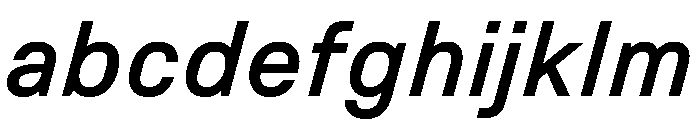 Copy MediumItalic FONT
