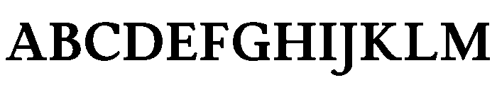 Cosmodoxia Bold Instance Font UPPERCASE
