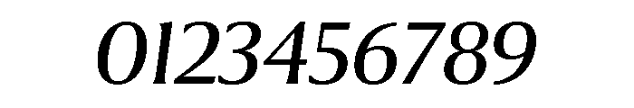 Collier Book Italic Font OTHER CHARS