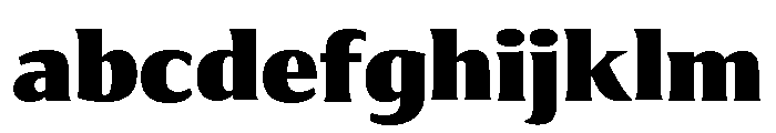 Collier Compressed Black FONT